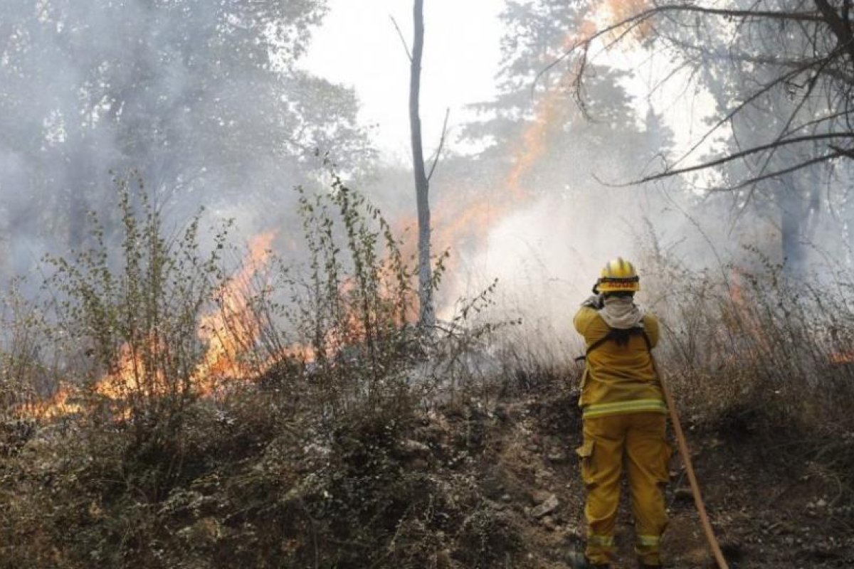 Debatirán en Diputados un proyecto para prohibir la venta de los predios incendiados