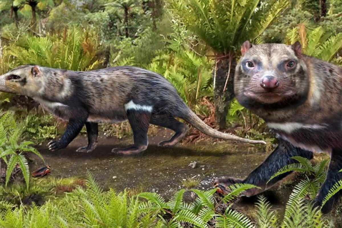 Científicos desentierran a "la bestia de cinco dientes", un antiguo mamífero que caminó entre los dinosaurios