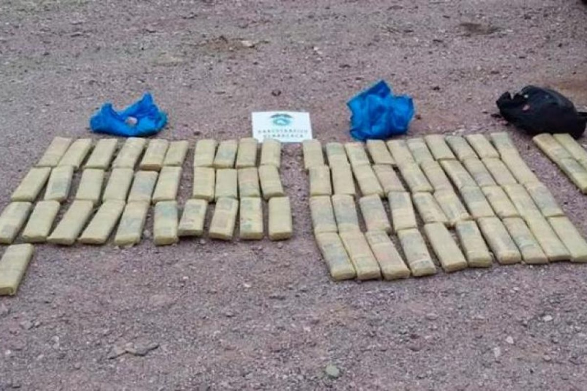 Jujuy: Gendarmería secuestró hojas de coca en numerosos controles