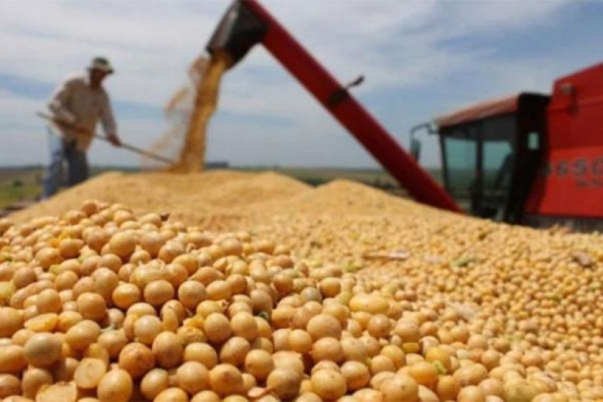 Establecen las modificaciones a los derechos y reintegros a las exportaciones industriales y agropecuarias