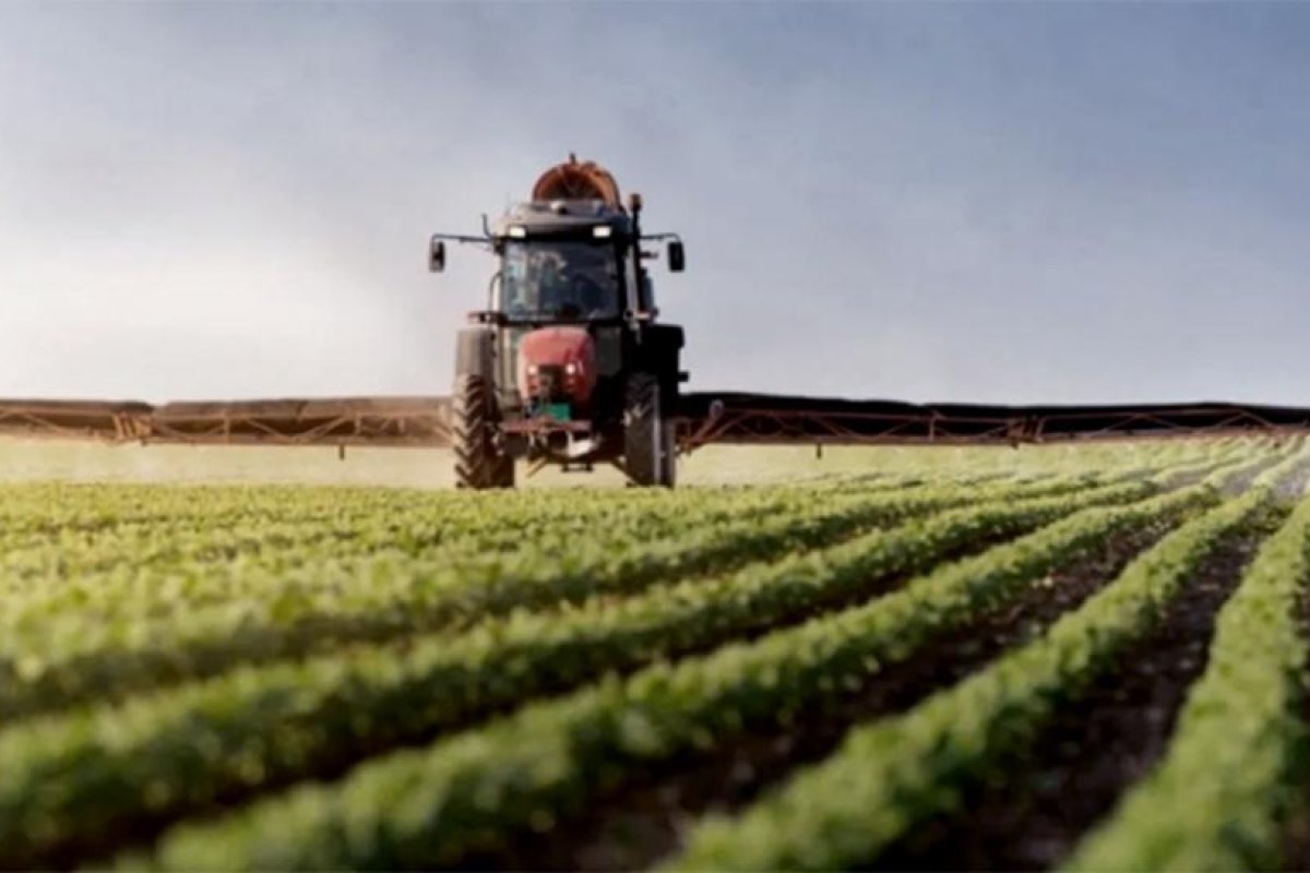 Esperan temperaturas elevadas en gran parte del área agrícola y lluvias en el nordeste