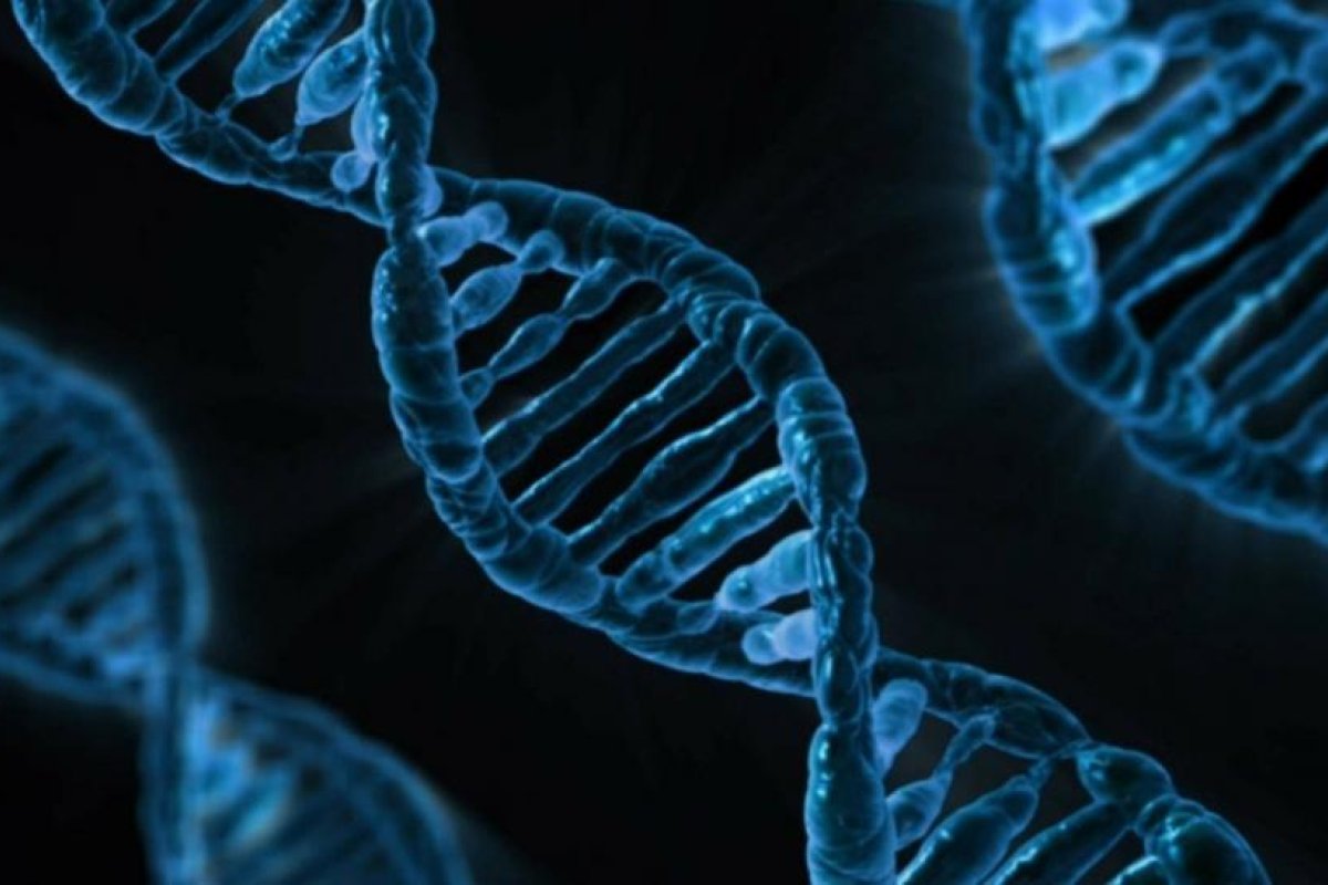 Científicos descubren un virus de 268 millones años presente en el ADN de los humanos
