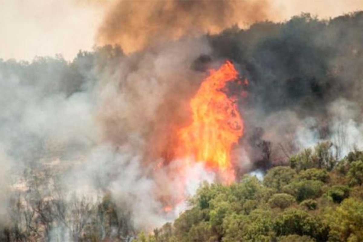 Un incendio afectó a más de 130 hectáreas del Parque Nacional Calilegua