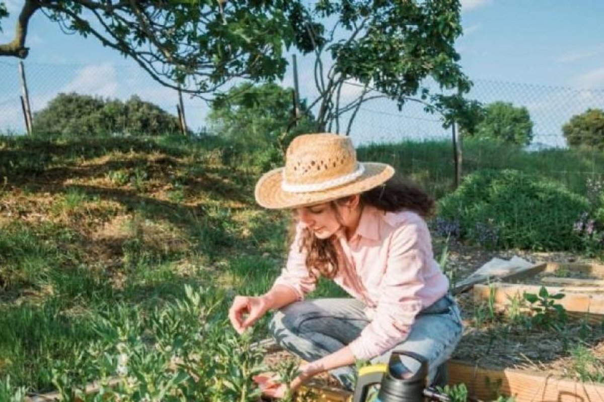 Calendario lunar de marzo: Días óptimos para la siembra de plantas