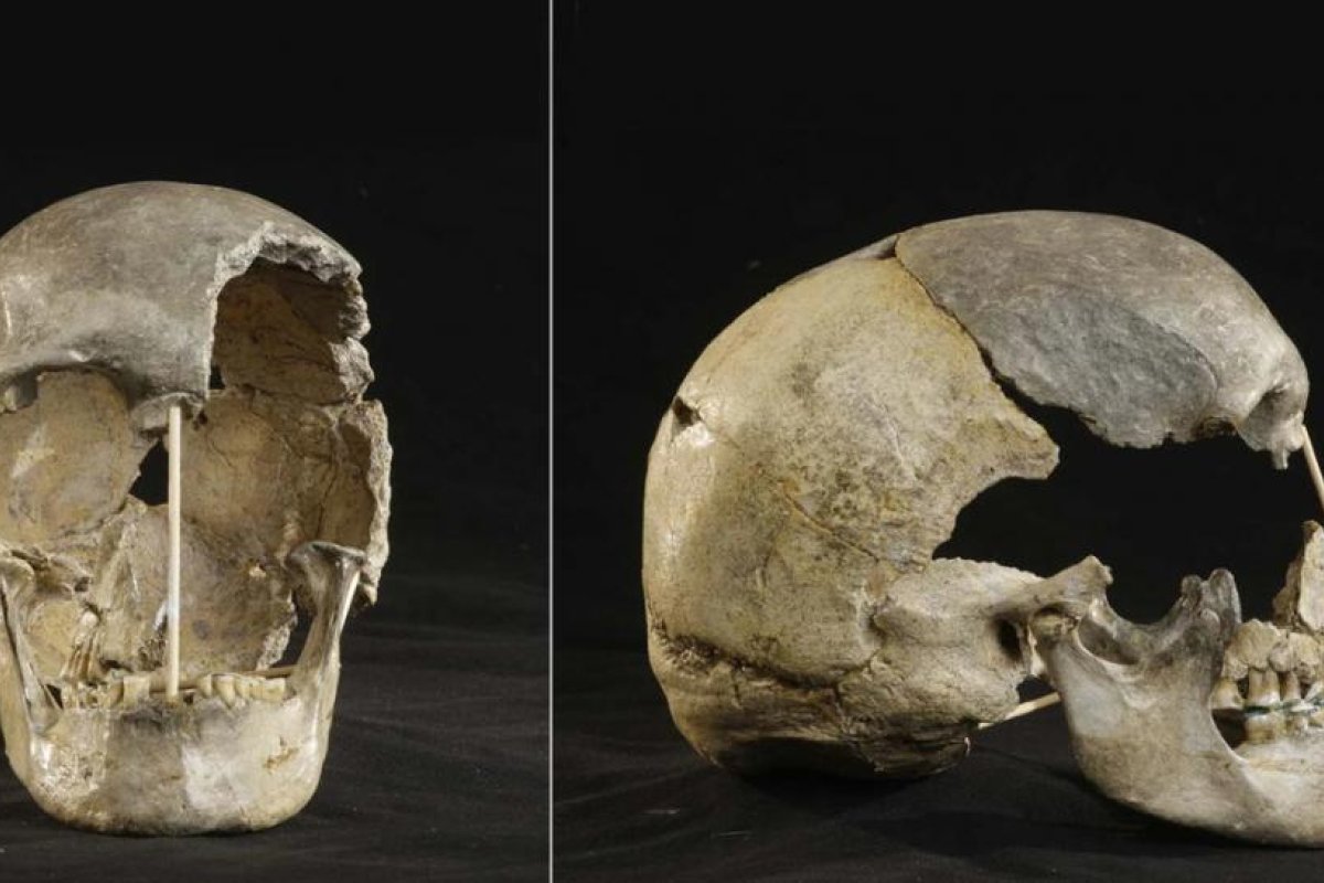Un cráneo de hace 45.000 años permite identificar el genoma más antiguo correspondiente a los humanos modernos de Europa conocido hasta la fecha