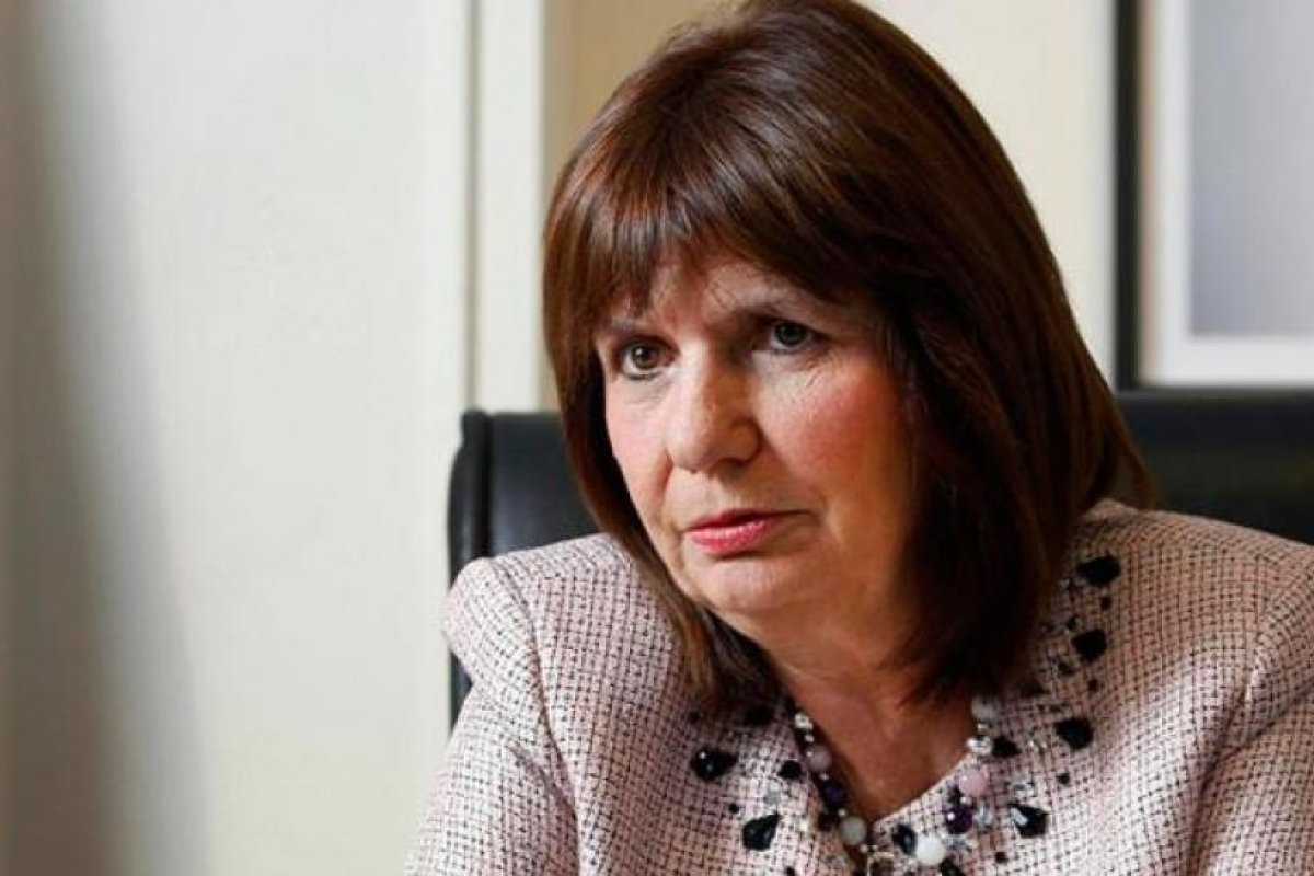 Patricia Bullrich reconoció que viajó al #8N con pasajes pagados por el Senado