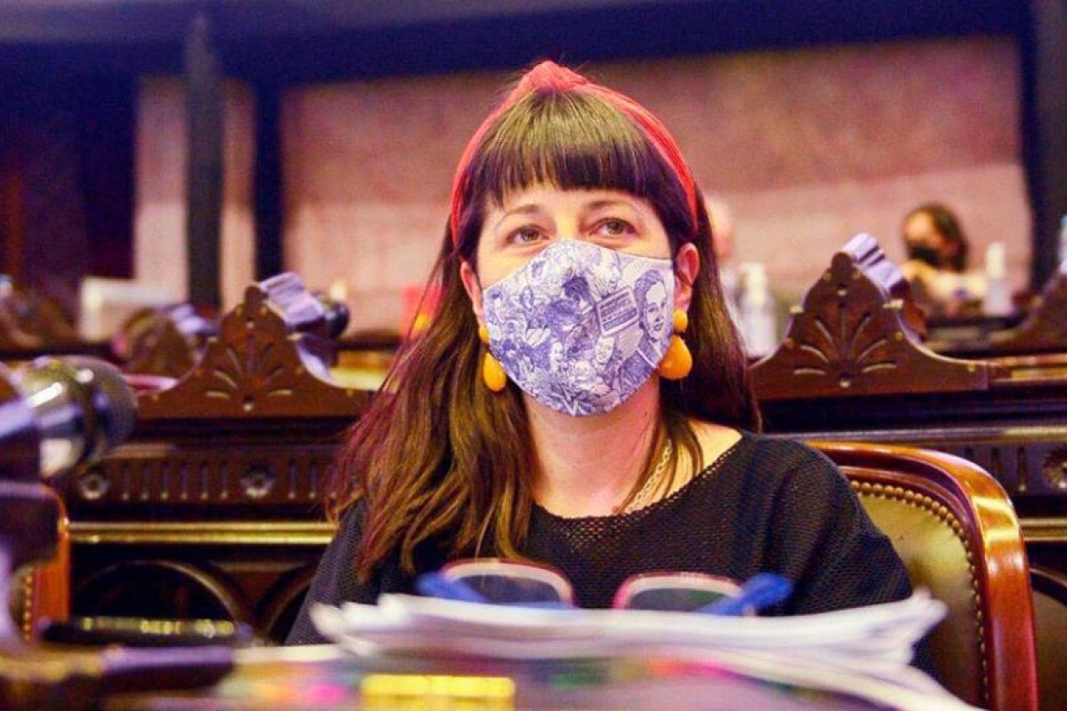 Gaillard, a favor de crear un Código Penal feminista