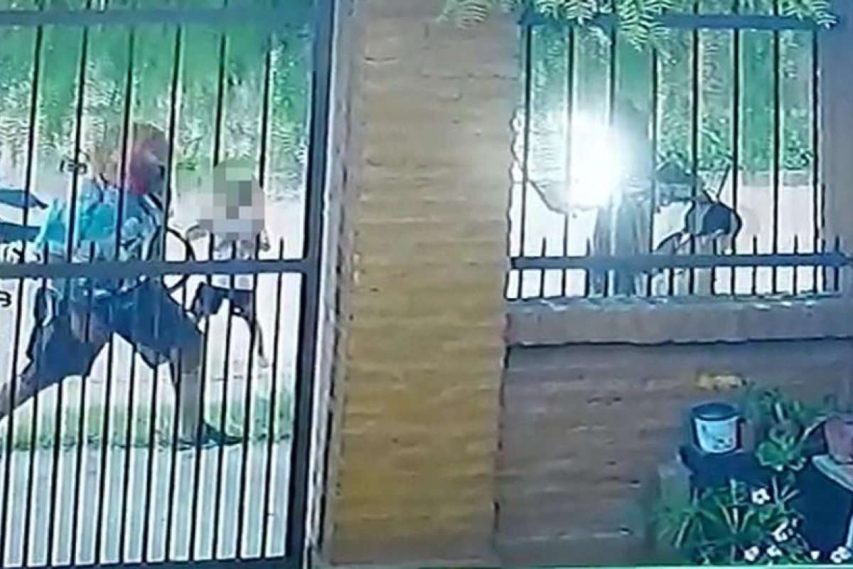 Una niña fue atacada por un motochorro: le arrebató un celular