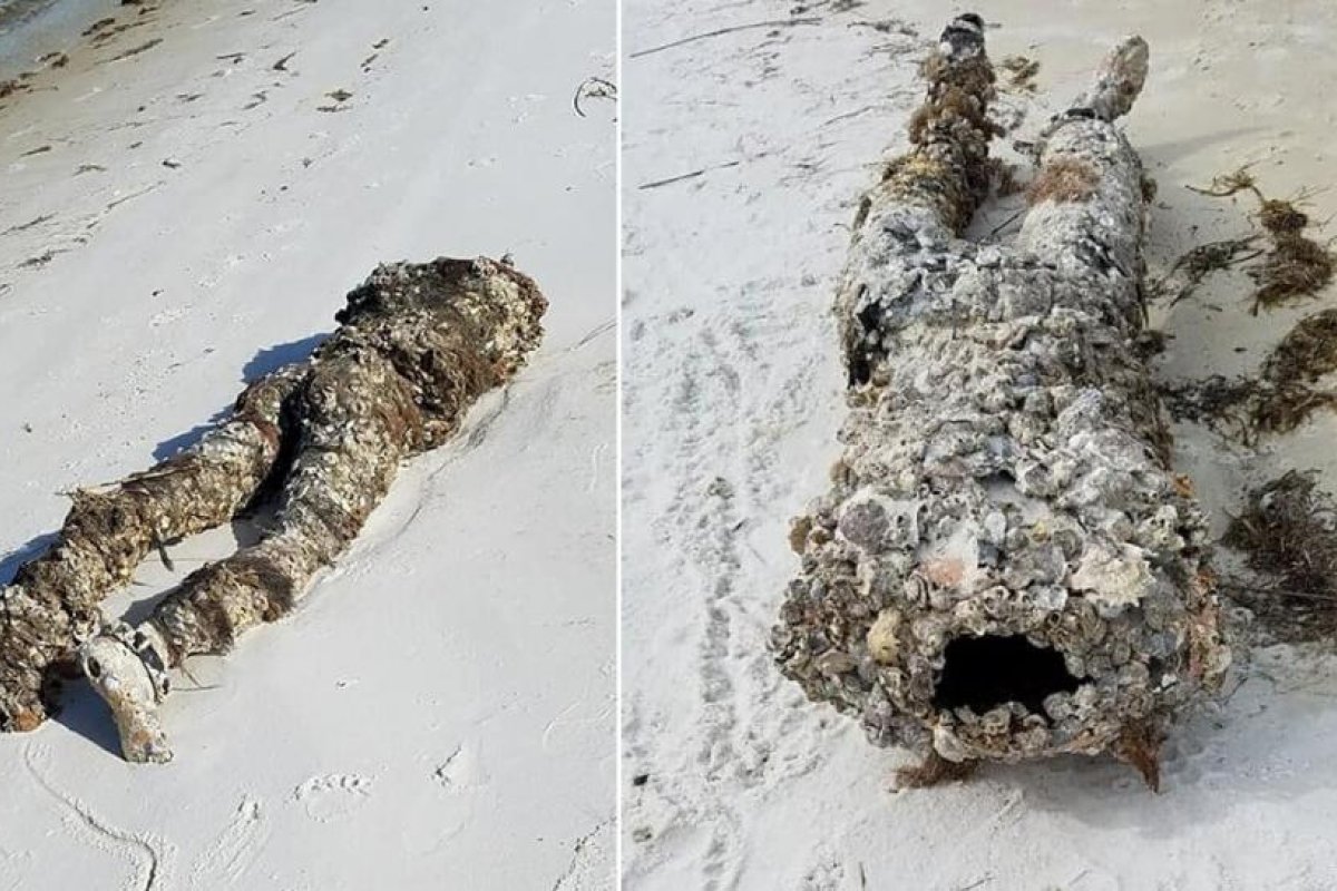 ¿Cadáver o maniquí?: realizan un siniestro hallazgo en una playa de Florida (FOTO)