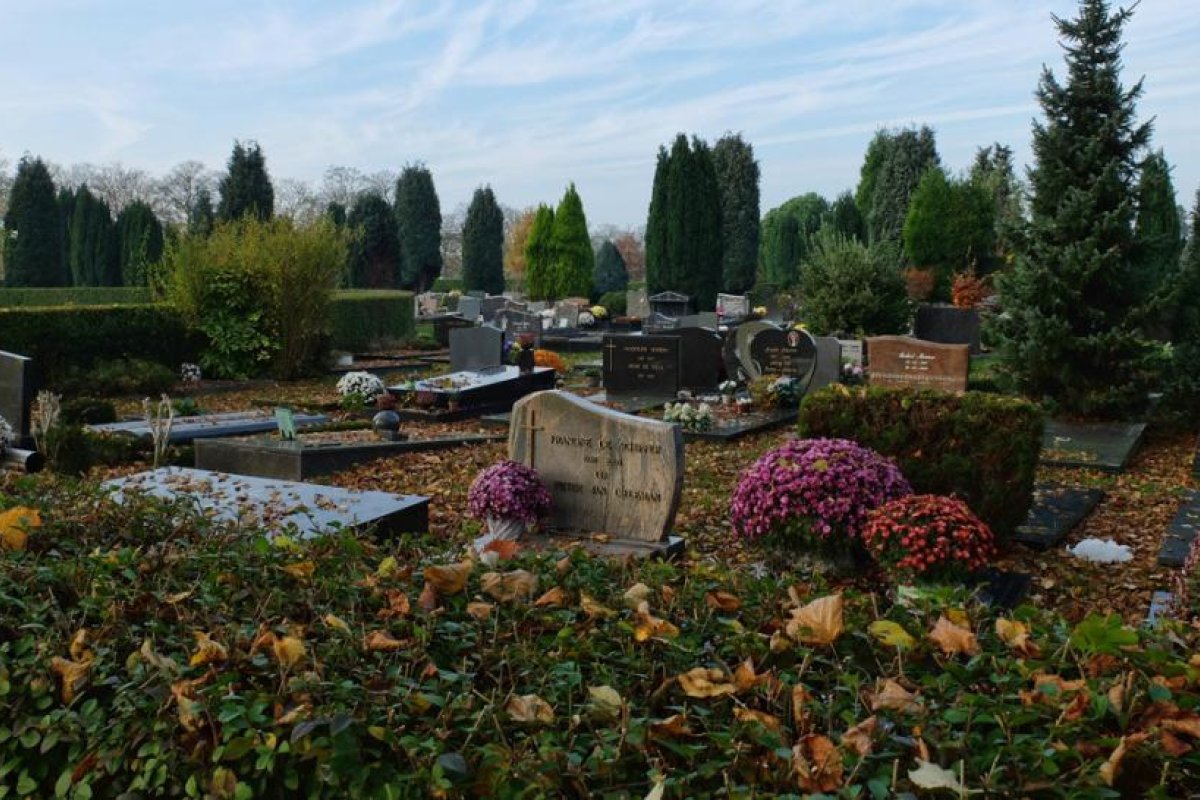 Cientos de clones de un invasivo cangrejo mutante se apoderan de un cementerio en Bélgica
