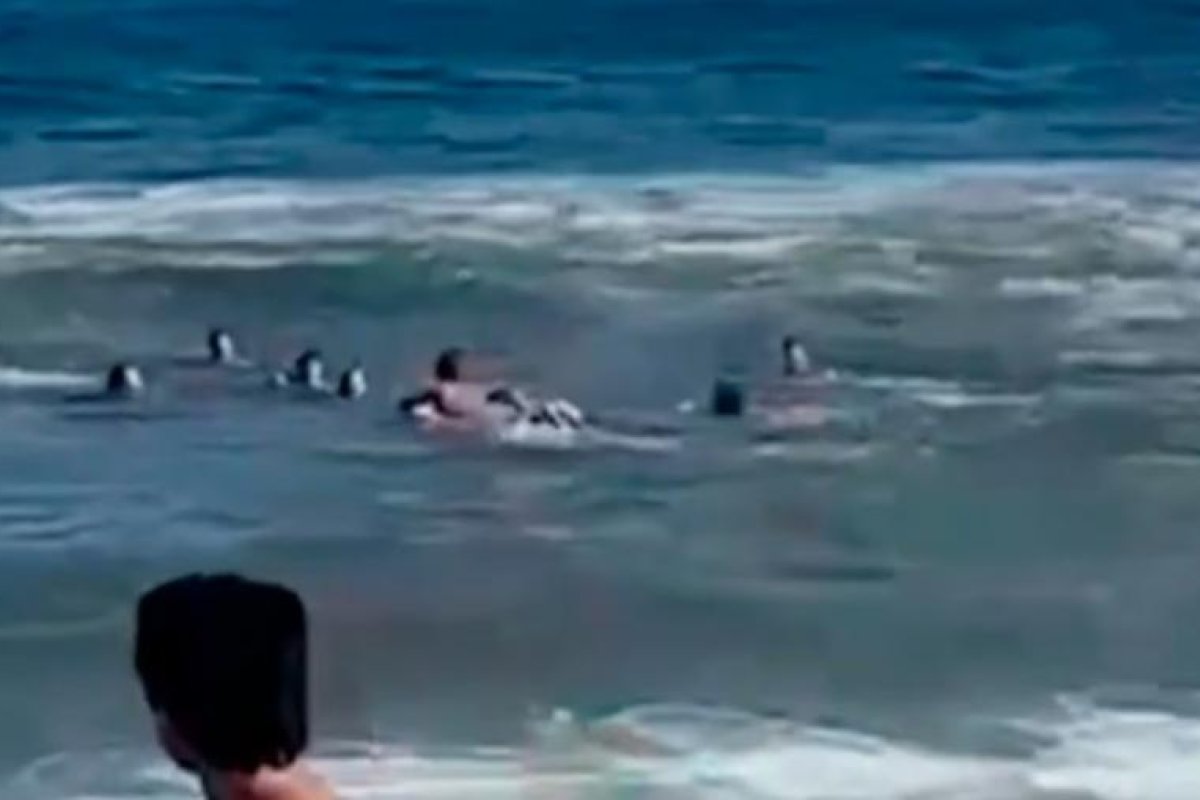 Martín Demichelis y su familia sufren rescate en Punta del Este