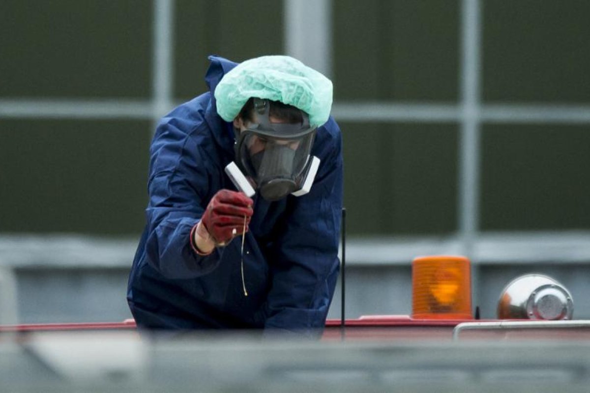 Confirman brotes de gripe aviar en Alemania y Países Bajos