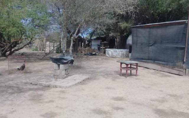El Bobadal: Ocho “galleros” acabaron presos en una insólita riña prohibida, frustrada por la aparición policial