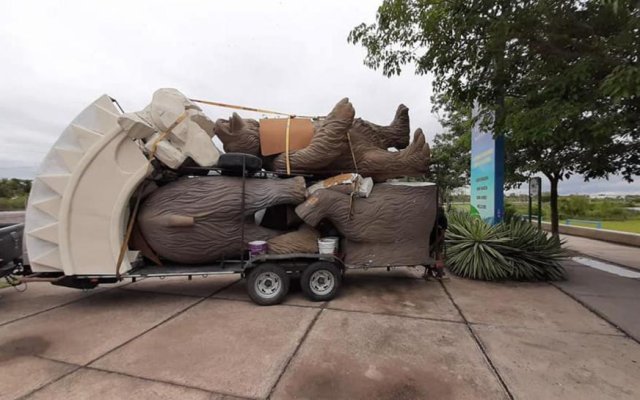 Tara Inti: La reserva natural ya prepara nuevas exhibiciones para los visitantes