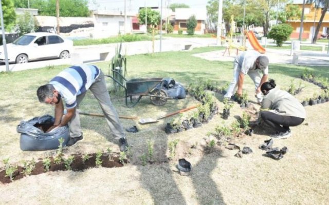 Toro Yacu: Trabajos de embellecimiento y parquizado en la plaza