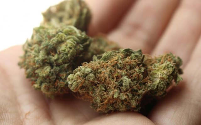 Pozo Hondo: Sorprenden a motociclista con drogas en un control policial