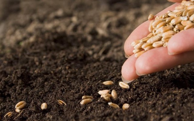 Investigadores de la Fauba y el Conicet desarrollan nanotecnologías para el agro