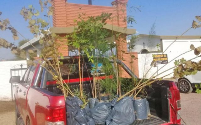 La Aguada: Entregan árboles a la comisión directiva del cementerio