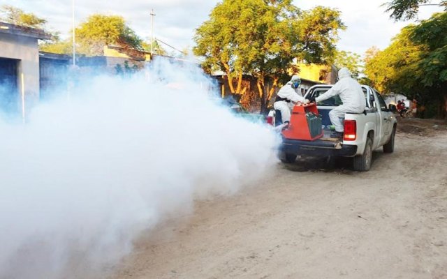 Se lleva a cabo un plan de fumigación en los barrios Agua Santa, Mercantil y Manzanita, entre otros para prevenir el Dengue