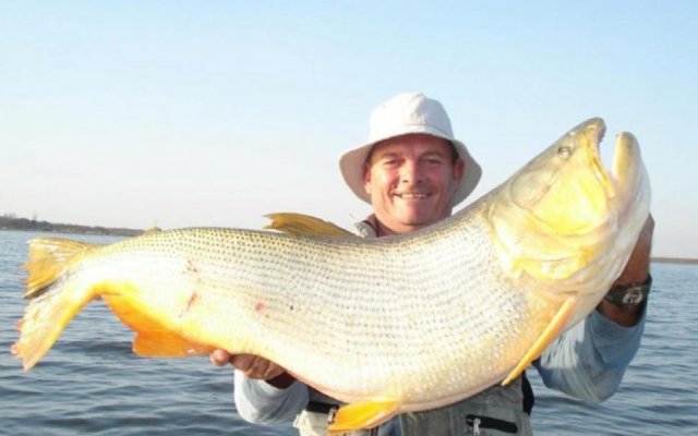 Conocé Termas: Hoy, La pesca del dorado, una experiencia única
