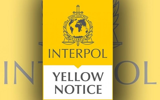 Interpol lanzó una alerta amarilla para reforzar la búsqueda de Guadalupe Lucero