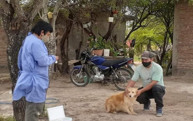 Barrio Los Fierros: Campaña municipal de vacunación antirrábica y desparacitación