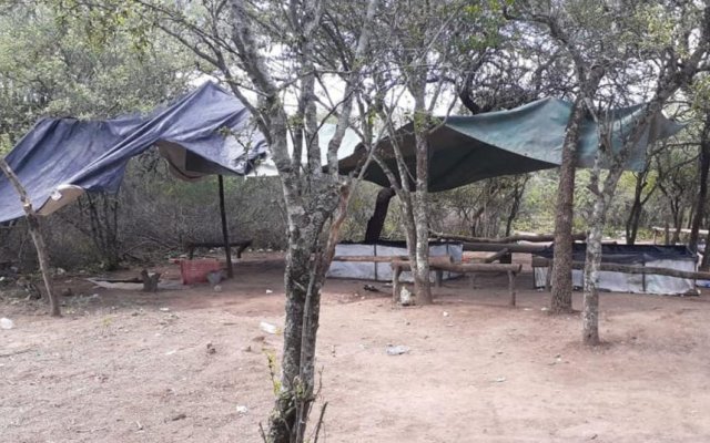 Gramilla: Desbaratan una riña de gallos y apresan a los organizadores
